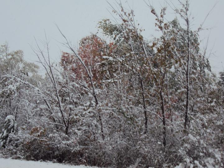 Oct 29 2011-6.JPG